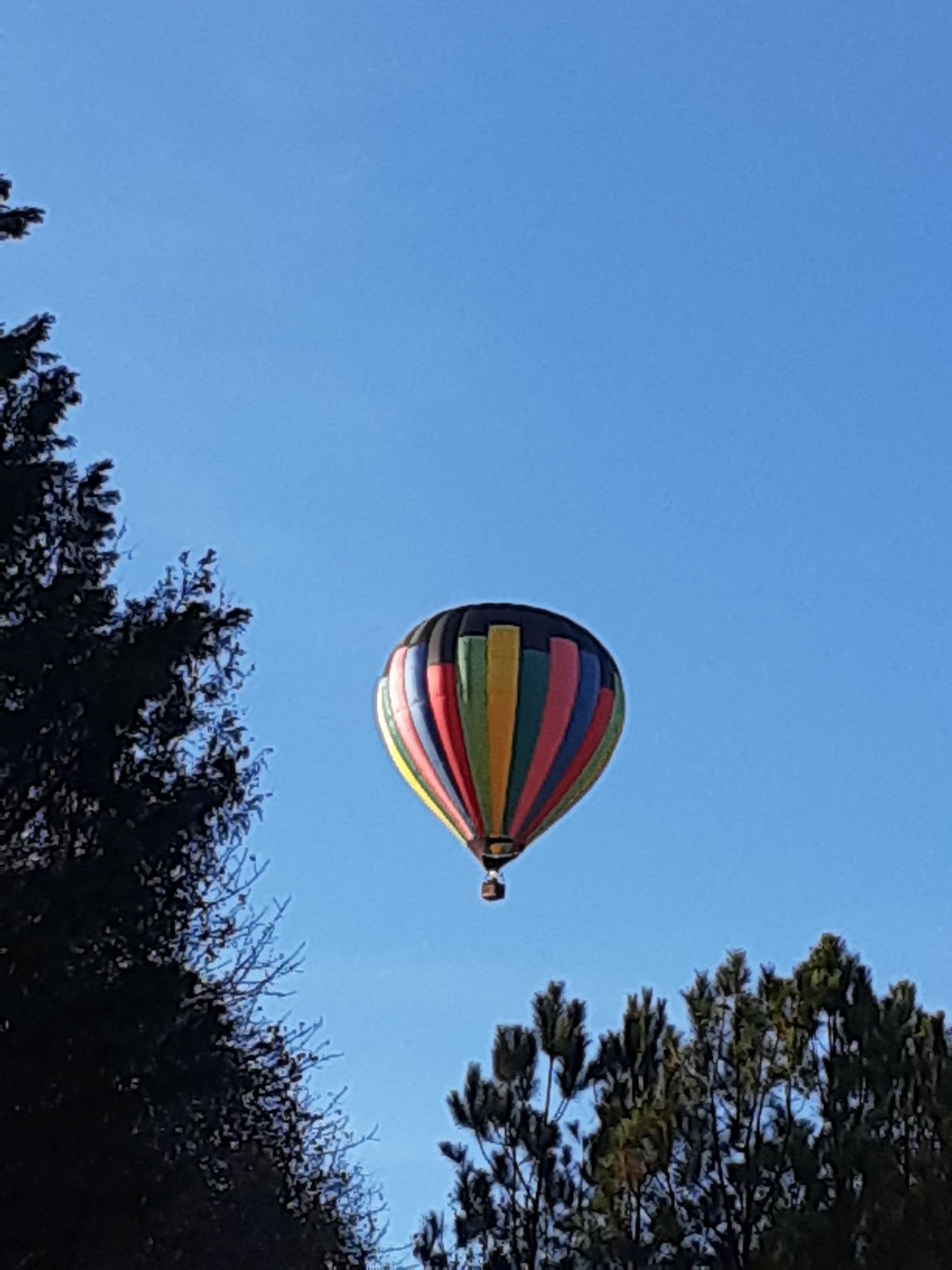 Hometown photo: hot air balloon