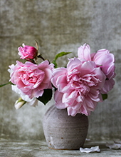 Obituaries