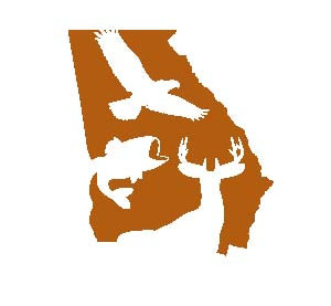 Georgia department of natural resources wildlife division