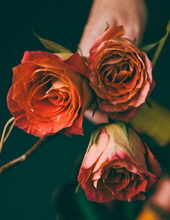 Obituaries2