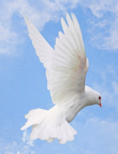 Obituaries