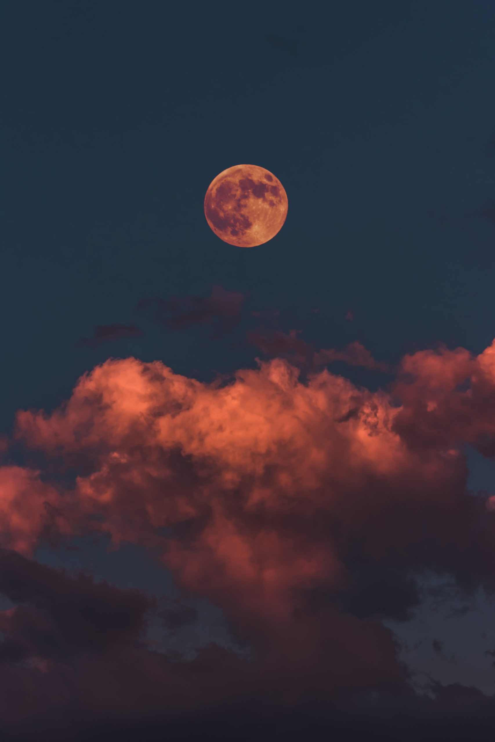 Altinay dinc llueltl5mk4 unsplash