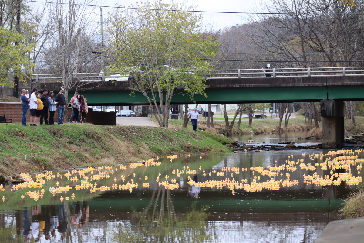GALLERY: Silver Comet Fest Rotary Duck Race