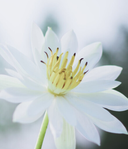 Obituaries