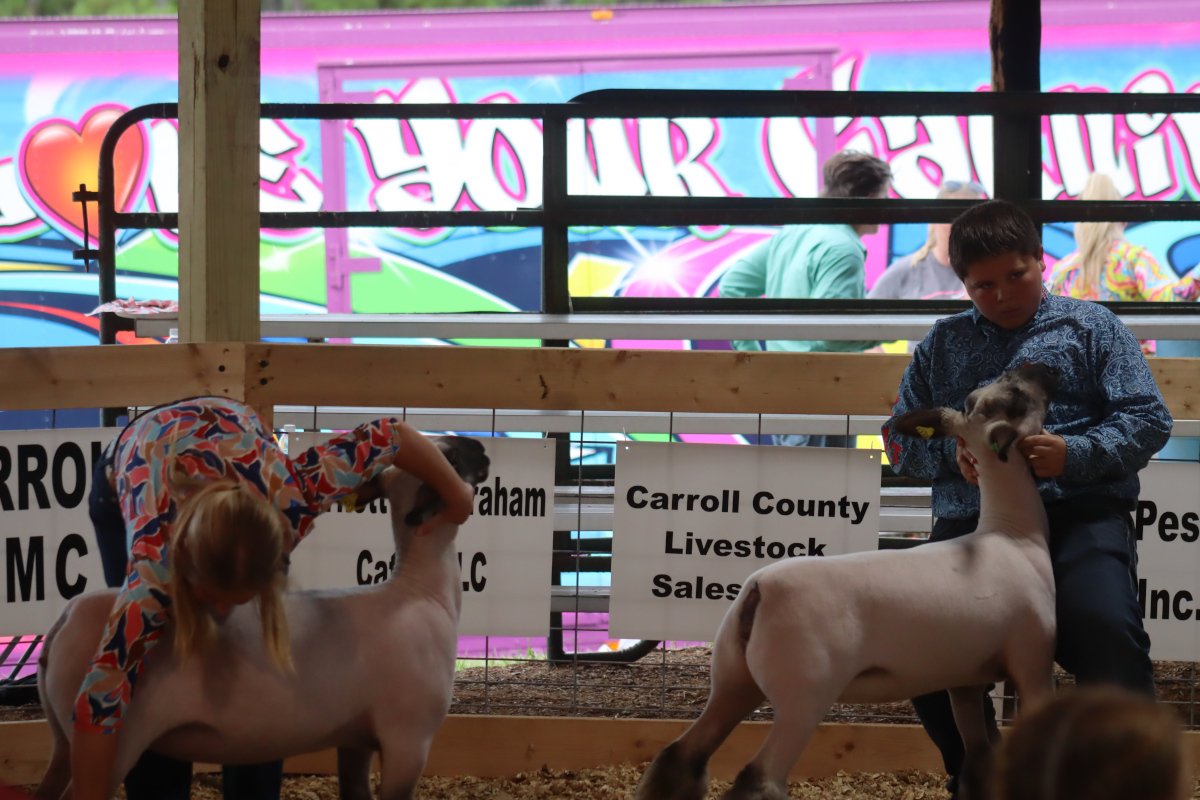 090424 fairnight1 24