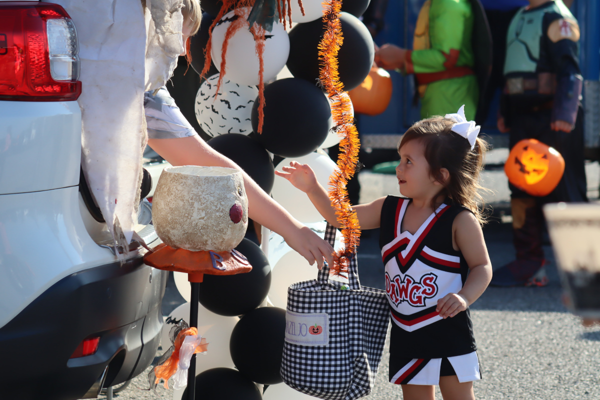 102624 trunktreatfeat2