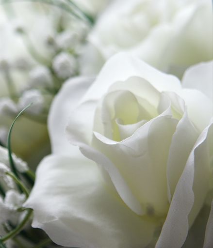 Obituaries
