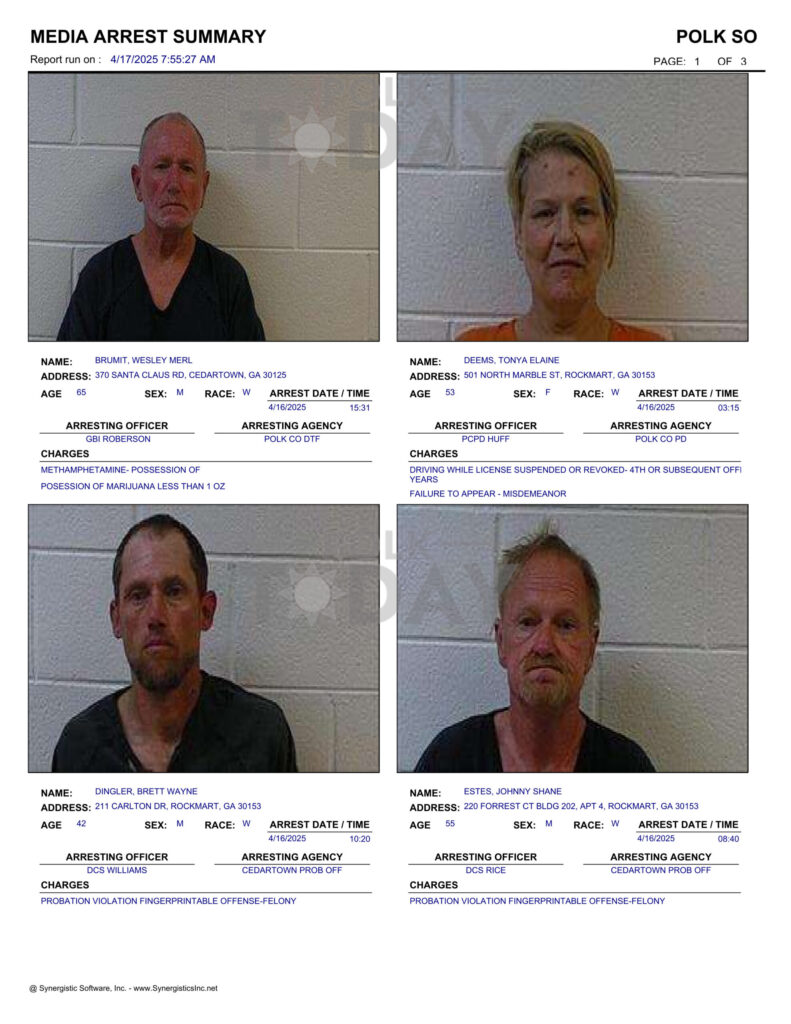 041725 polkjail01rep