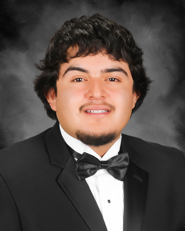 David pizano hernandez